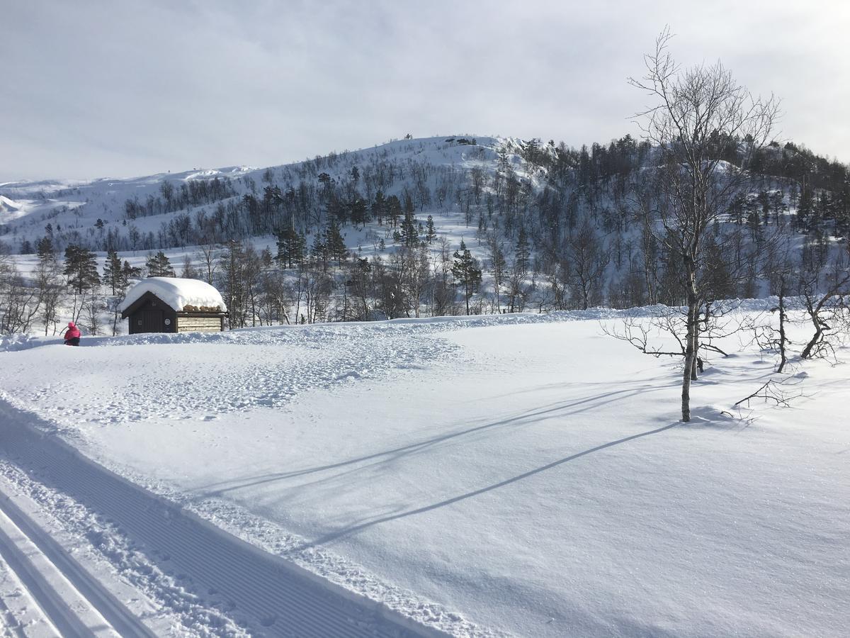 Kvamseter Eikedalen