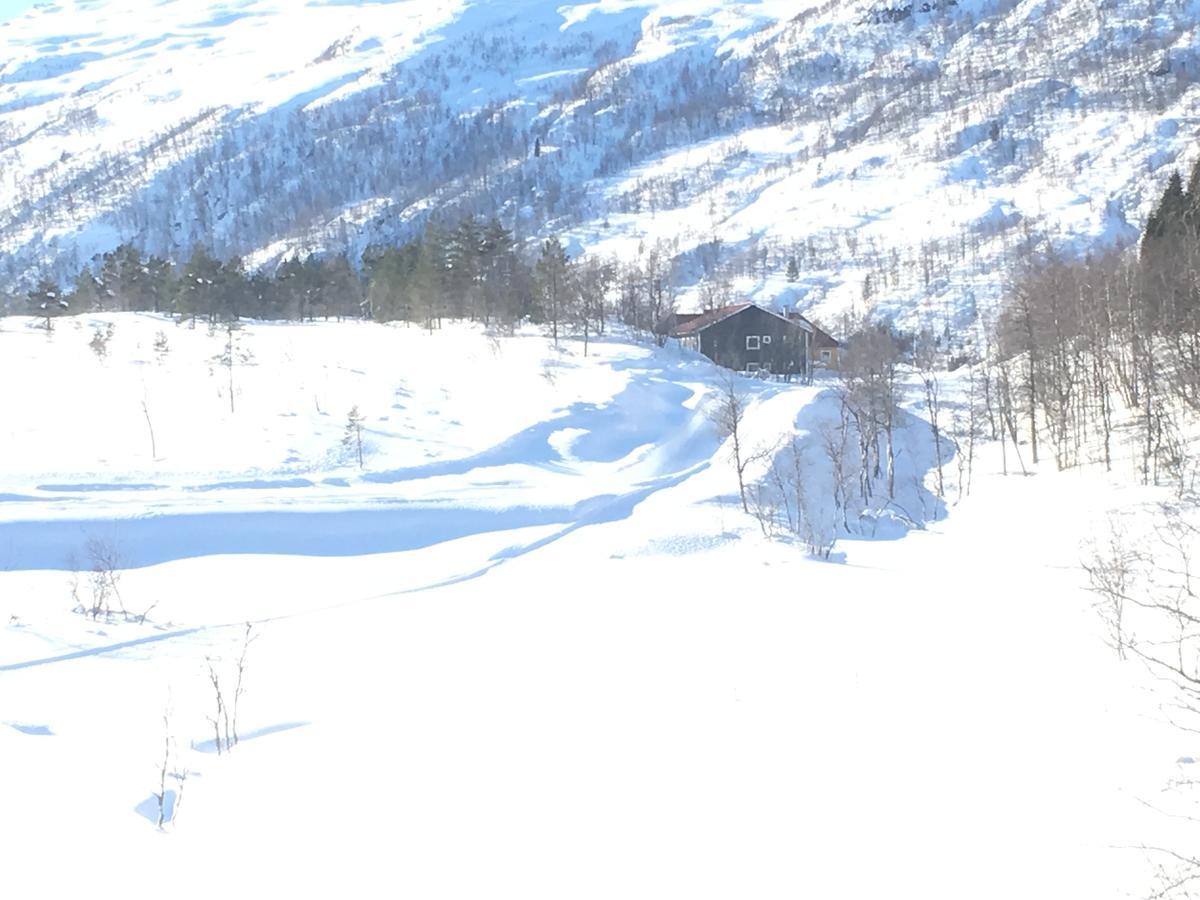 Kvamseter *